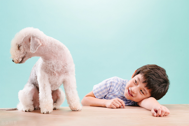 被資本熱捧的寵物經(jīng)濟，亟需一場價值重構(gòu)